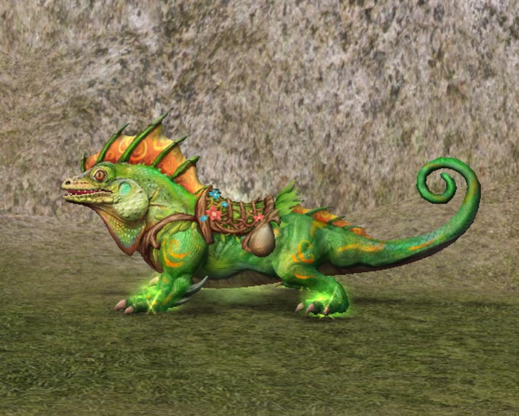 Pralesní chameleon+